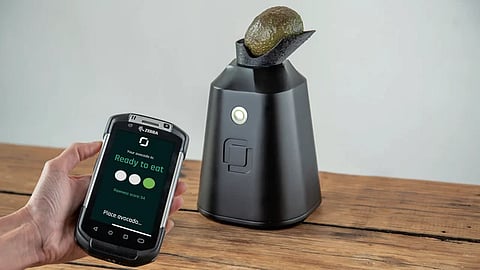 avacado
