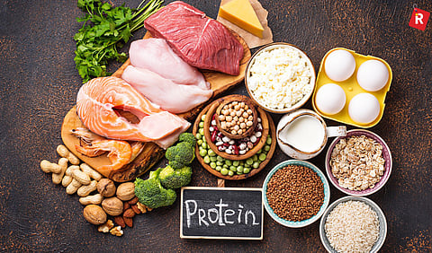 High protein food