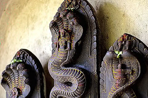 naga thosam.