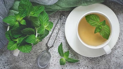 peppermint-tea-benefits