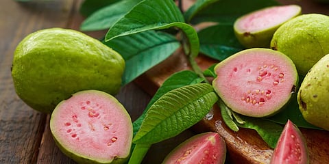 Guava_Diabetes