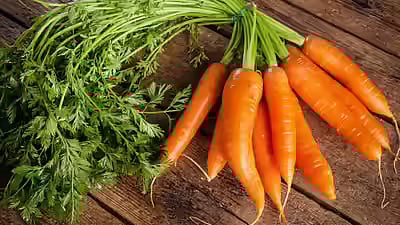 health benefits of eat carrot
