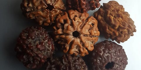 How to identify a genuine Rudraksha