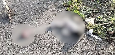 “தொப்புள் கொடியுடன் சாலை ஓரத்தில் வீசப்பட்ட குழந்தை” - அதிகாலையில் காத்திருந்த அதிர்ச்சி… தீவிர விசாரணையில் போலீசார்!