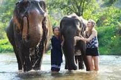 இந்தியாவில் யானைகளை நேரில் காண நீங்கள் செல்ல வேண்டிய 10 சிறந்த இடங்கள் எவை தெரியுமா?