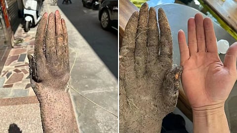 hand grown in the garden