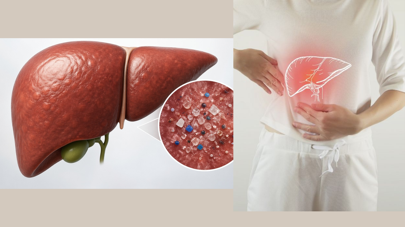 plastic in your liver