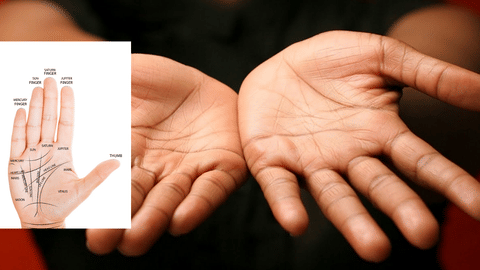 line on your hand