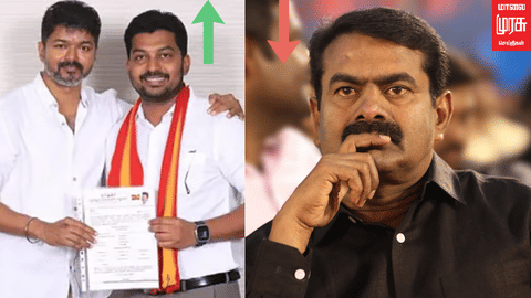 NTK seeman
