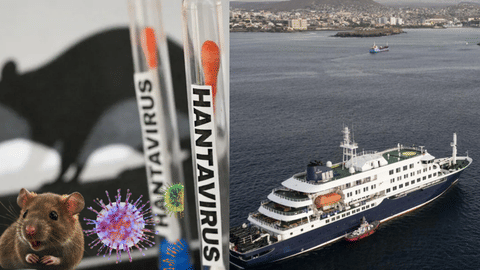 Hantavirus