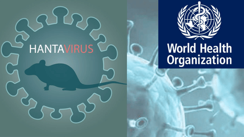 hantavirus