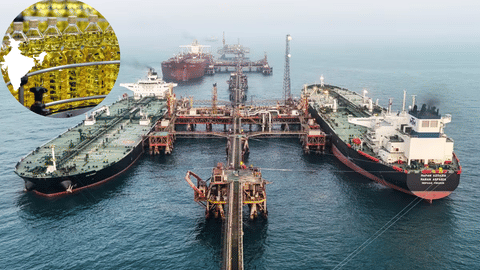 india imports cooking oil