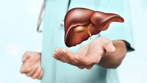 Liver