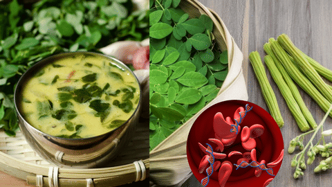 drumstick leaves benefits