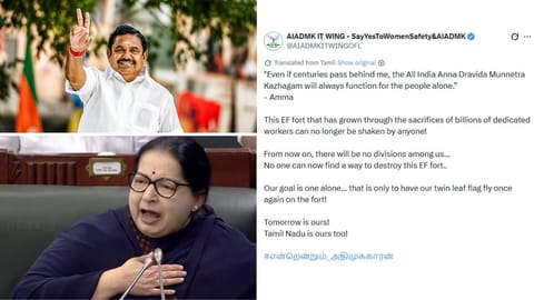 ADMK IT wing