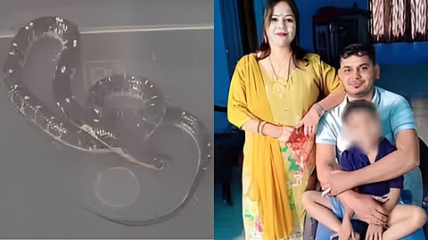 Meerut snake murder case
