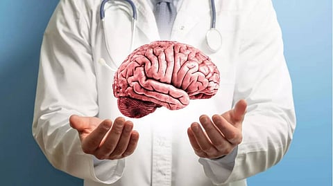 Brain