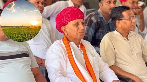 Union Minister received agricultural subsidy
