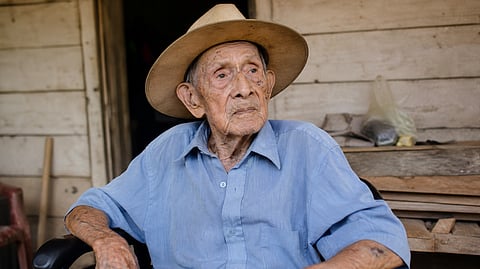 Jose Flores