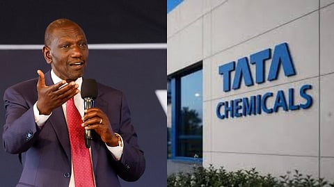 tata chemicals