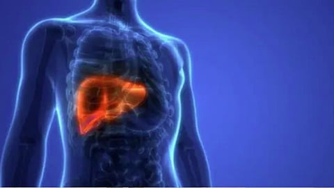 20, 30 வயதிலேயே Fatty Liver... இளம் தலைமுறையை பாதிக்கும் முக்கிய காரணங்கள் என்ன?