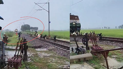 uttar pradesh goat accident