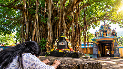 ஆயிரம் ஆண்டு பழமையான ஆலமரம்… பக்தர்களின் எதிர்காலத்தை உணர்த்தும் அதிசயம்! சித்தர் கோவில் சொல்லும் ரகசியம்