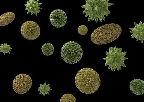 அடுத்த வைரஸ்கள் இங்கிருந்து தான் பரவும்,.. ஆராய்ச்சியாளர்கள் வெளியிட்ட அதிர்ச்சி தகவல்.!