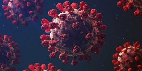 தமிழகத்தில் இரண்டாவது நாளாக ஏழாயிரத்திற்கு கீழ் கொரோனா பாதிப்பு...