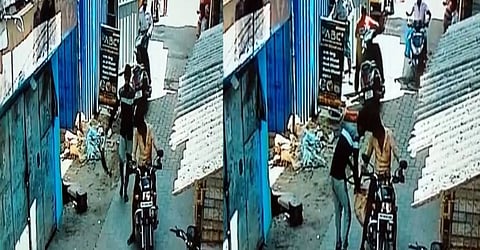 செல்லப்பிராணிகளை கொடூரமாக அடித்து கொல்லும் கும்பல்: உணவகத்திற்கு கொண்டு செல்லப்படுகிறதா?