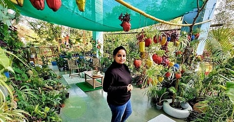 வீட்டையே குட்டி காடாக மாற்றிய பெண்