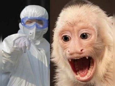 இன்னும் கொரோனாவே முடியலப்பா… குரங்கு வைரஸ் பாதிப்பால் சீனாவில் ஒருவர் பலி!