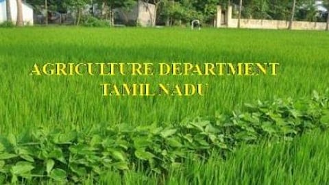 இன்று தாக்கலாகிறது வேளாண்மை துறைக்கான தனி பட்ஜெட்!