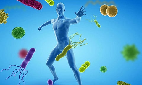 மீண்டும் குருதி சார் ஆய்வு நடத்த சுகாதாரத் துறை திட்டம்...