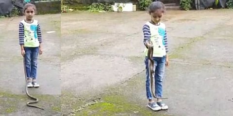 நாகப்பாம்பை பிடித்து விளையாடிய 6 வயது சிறுமி