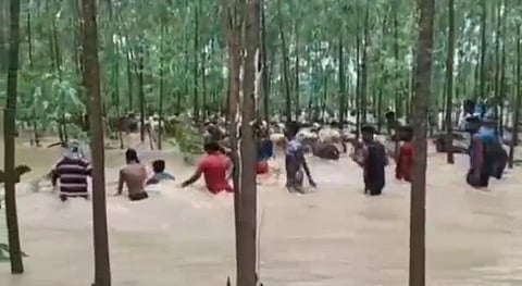 காட்டாற்று வெள்ளத்தில் சிக்கிய 3 ஆயிரம் ஆடுகளை பல மணி நேர போராட்டத்திற்கு பிறகு மீட்ட தீயணைப்புத்துறையினர்...