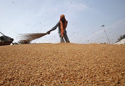 கோதுமையின் குறைந்தபட்ச ஆதார விலை 2% அதிகரிப்பு...
