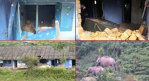 குடியிருப்பில் புகுந்த யானைக்கூட்டம்... ரேஷன்கடை, வீடுகளை உடைத்து சேதம்...