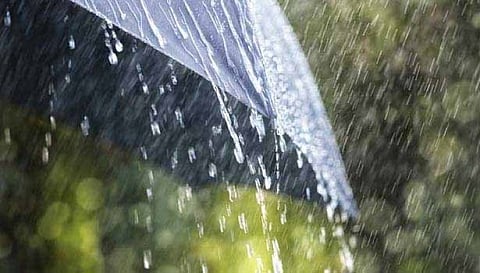 6 மாவட்டங்களில் கனமழைக்கு வாய்ப்பு... சென்னை வானிலை ஆய்வு மையம் தகவல்...