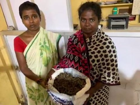 சட்ட விரோதமாக கஞ்சா விற்ற இரு பெண்கள் கைது
