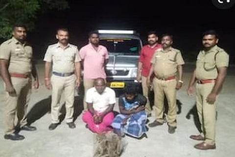 மாந்திரீகம் செய்ய கடத்தி வரப்பட்ட  தேவாங்குகள் மீட்பு - 2 பேர் கைது