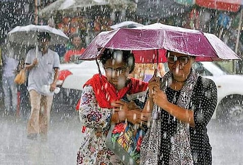 தென்மாவட்டங்களில் இன்று கனமழைக்கு வாய்ப்பு... சென்னை வானிலை ஆய்வு மையம் தகவல்...