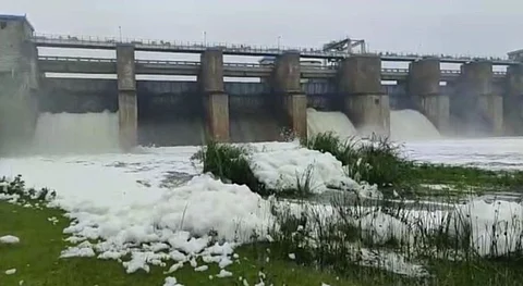 தென் பெண்ணையாற்றில் கழிவுநீரைக் கலந்து விட்ட ஆலைகள்... கெலவரப்பள்ளி அணைக்கு வரும் நீரில் கழிவுநீர் கலப்பு...