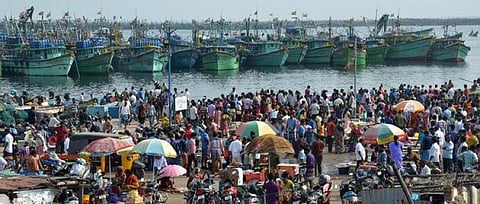புரட்டாசி மாதம் நிறைவடைந்ததையொட்டி மீன் வாங்க குவிந்த மக்கள்... விலை அதிகமானாலும் மீன்களை அள்ளிச்சென்ற மக்கள்...