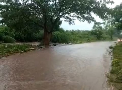 ஓடையை கடக்க முயன்ற பெண்ணை இழுத்து சென்ற வெள்ளம்