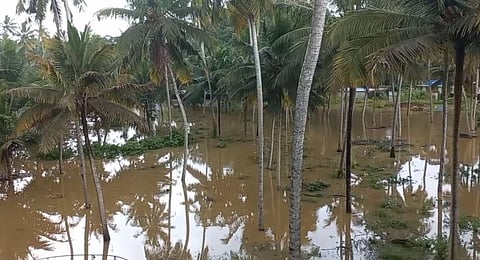 அணைகளில் இருந்து 25000 கன அடி தண்ணீர் வெளியேற்றம்- வெள்ளத்தில் மூழ்கிய 25 கிராமங்கள்