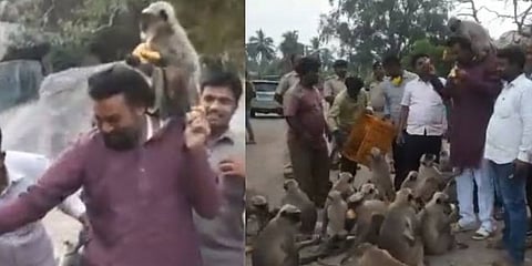 அமைச்சரின் தோளில் அமர்ந்து வாழைப்பழம் சாப்பிட்ட குரங்கு... வீடியோ வைரல்