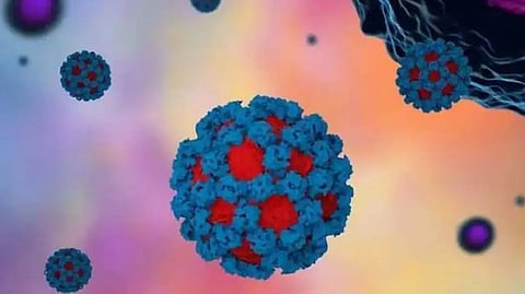 கேரளாவை அடுத்தடுத்து குறிவைக்கும் கொடிய வைரஸ்கள்... தற்போது பரவும் நோரோ வைரஸ்...