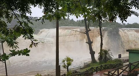 கன்னியாகுமரியில் 3-வது நாளாக விடிய விடிய கனமழை... திற்பரப்பு அருவியில் வெள்ளப்பெருக்கு...