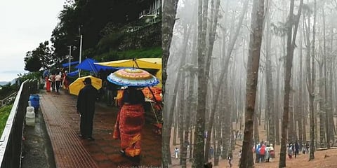 கனமழை காரணமாக வனத்துறை கட்டுப்பாட்டில் உள்ள சுற்றுலா தலங்கள் அனைத்தும் மூடல்...